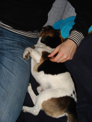 Fritzi