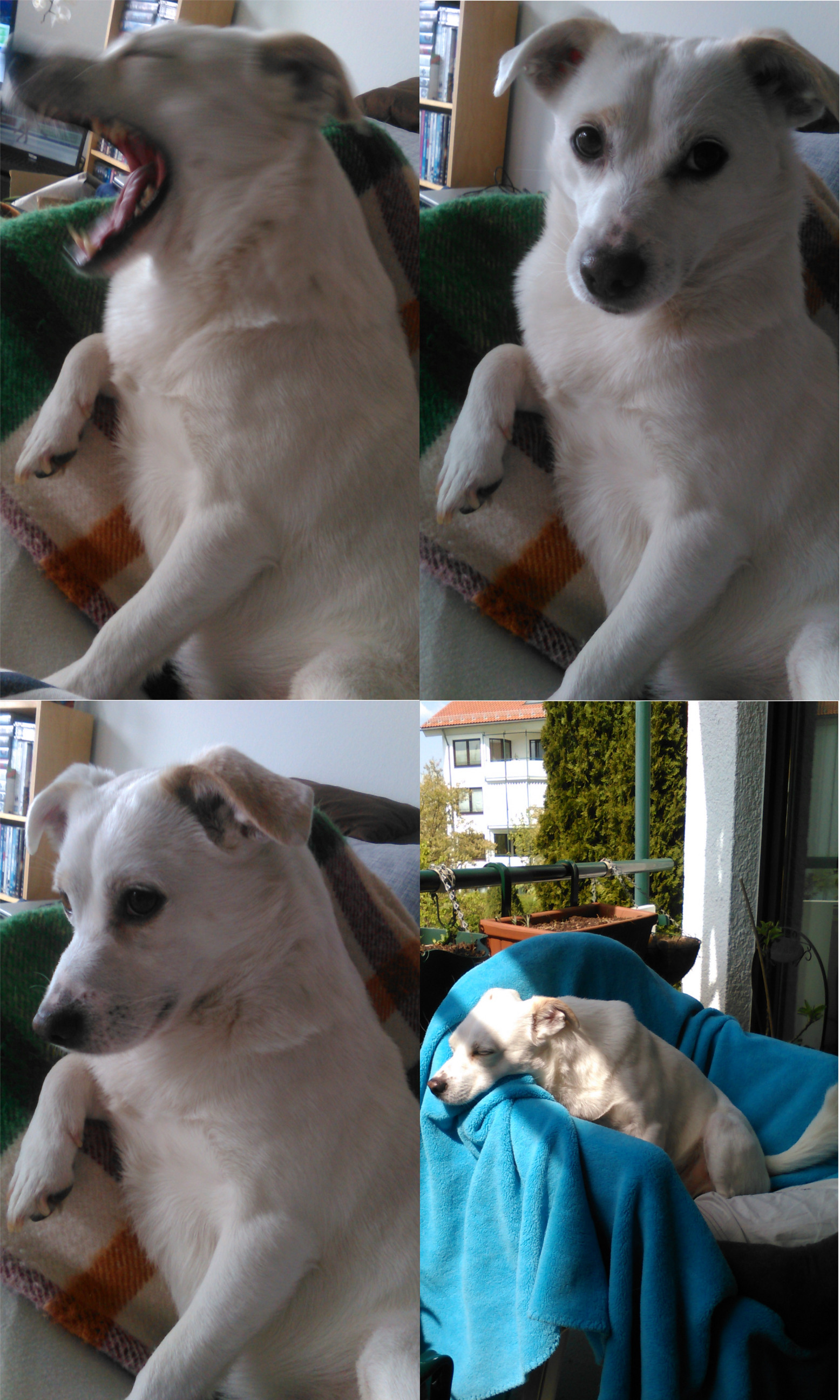Semmi aktuell