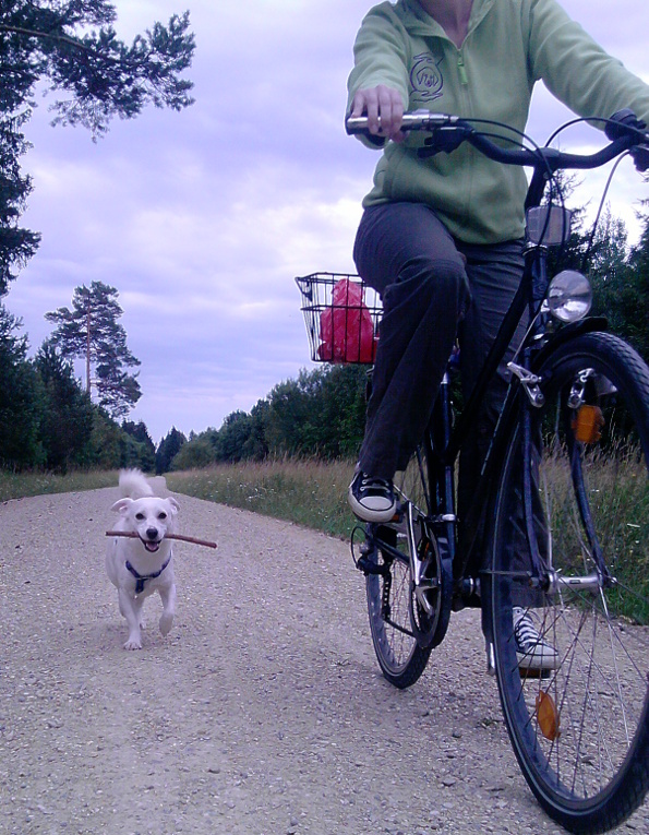 Semmi Fahrrad